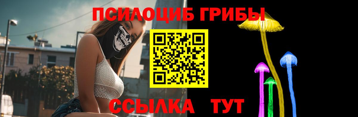 Галлюциногенные грибы Psilocybe Ханты-Мансийск